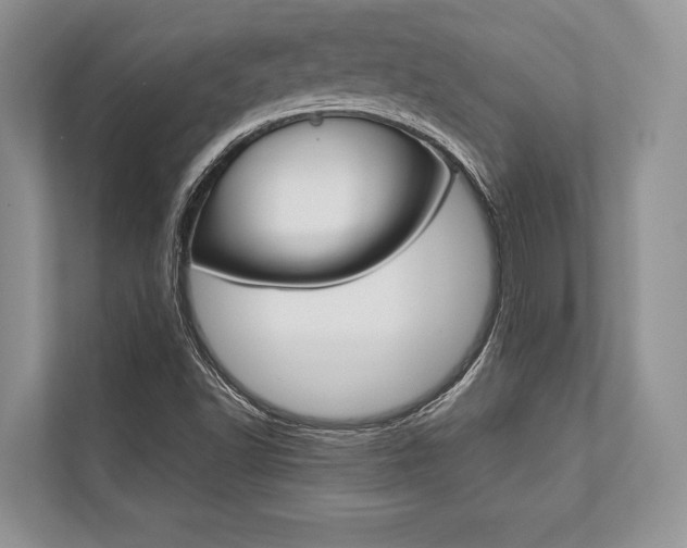X0000113761502200909230936