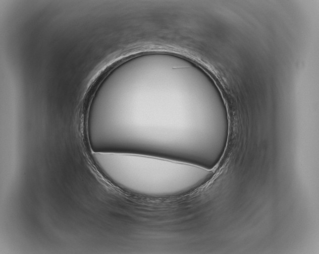 X0000113761503200909230936