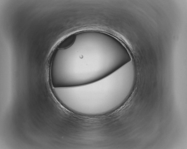 X0000113761504200909230936