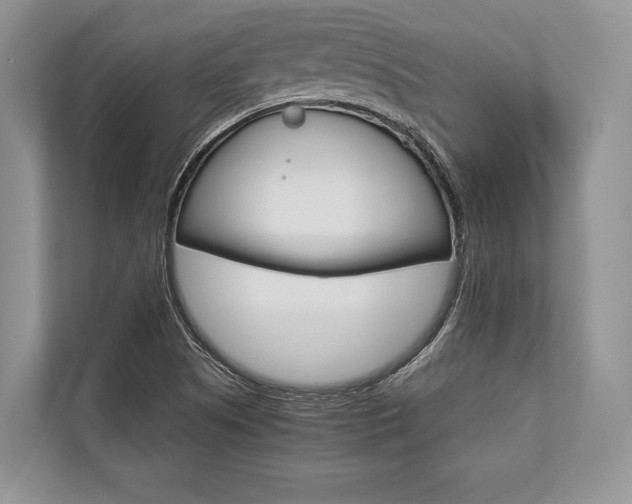 X0000113761505200909230936