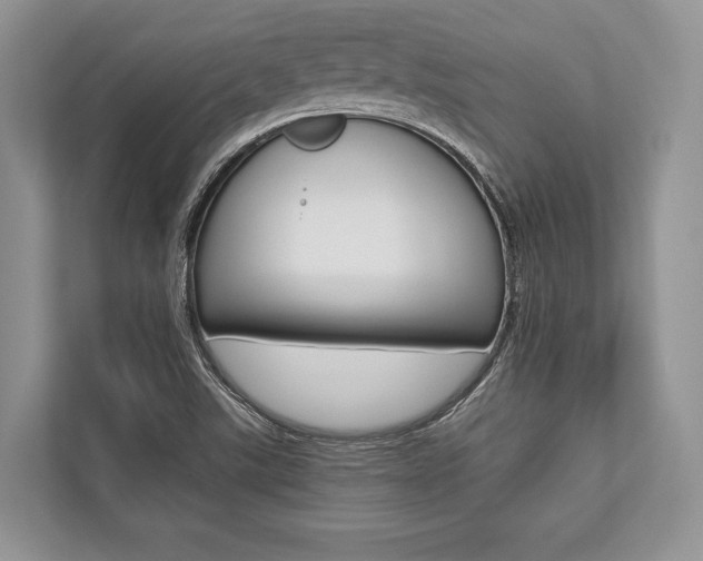 X0000113761507200909230936