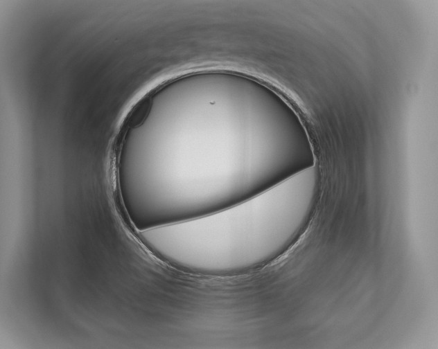 X0000113761510200909230936