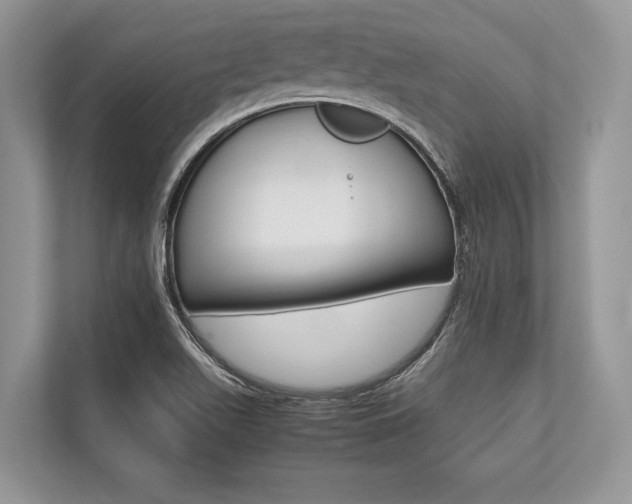 X0000113761511200909230936