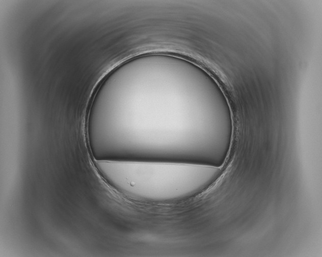 X0000113761513200909230936
