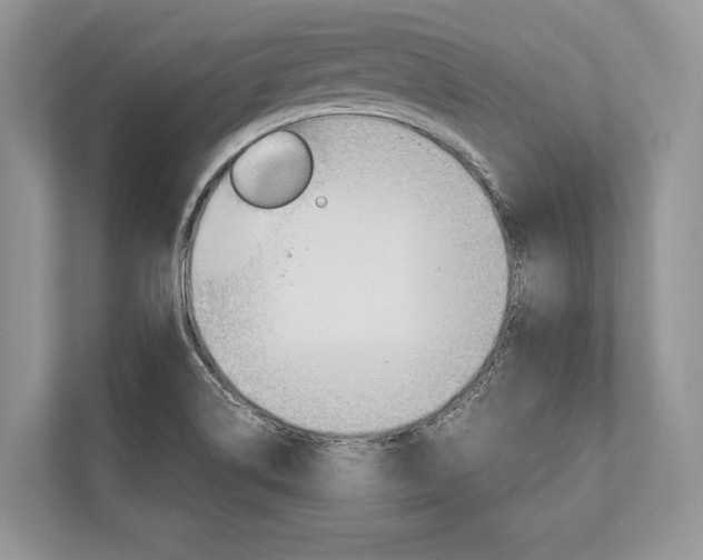 X0000113761514200909230936