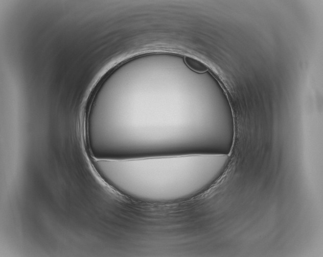 X0000113761515200909230936