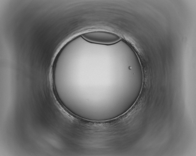 X0000113761516200909230936