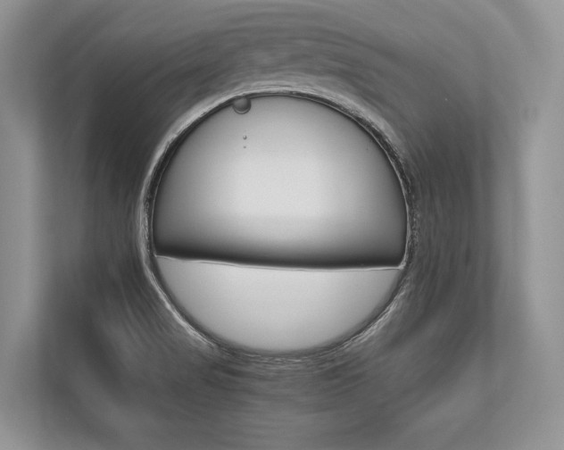 X0000113761517200909230936