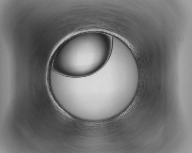 X0000113761518200909230936