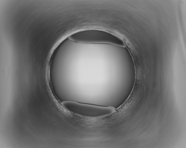 X0000113761520200909230936