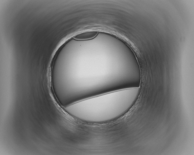 X0000113761522200909230936