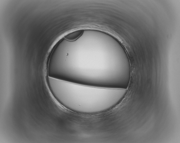 X0000113761523200909230936