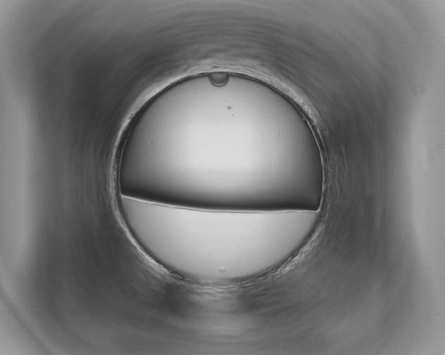 X0000113761525200909230936