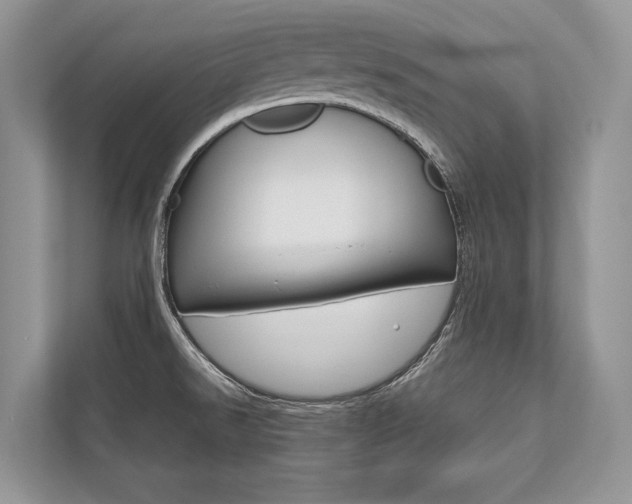 X0000113761526200909230936