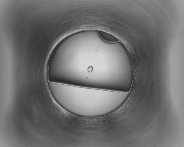 X0000113761527200909230936