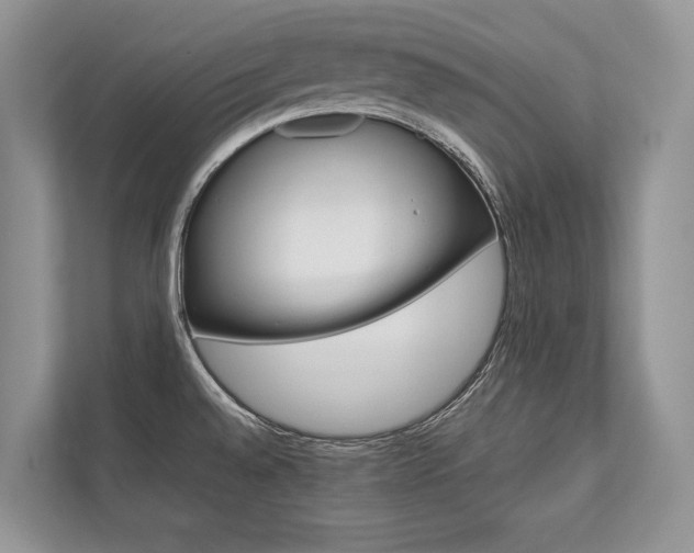 X0000113761528200909230936