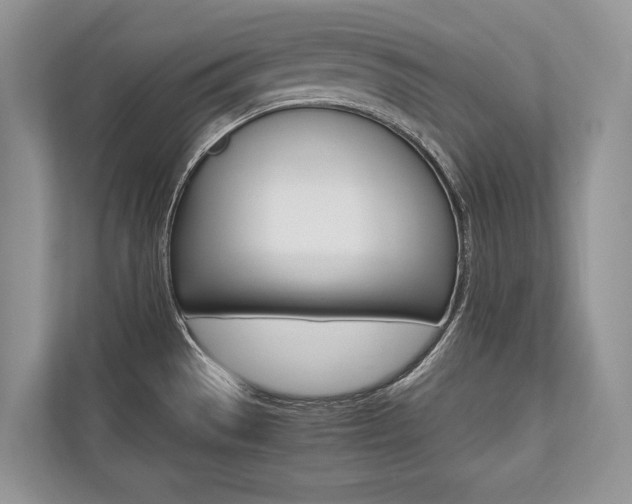 X0000113761529200909230936