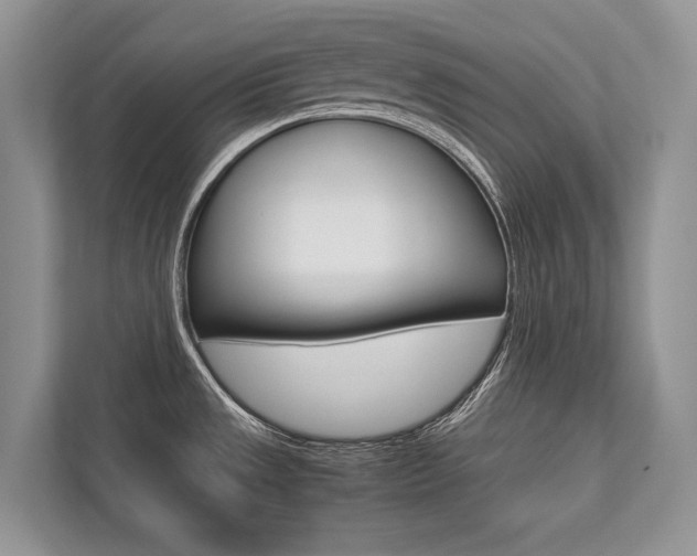 X0000113761533200909230936