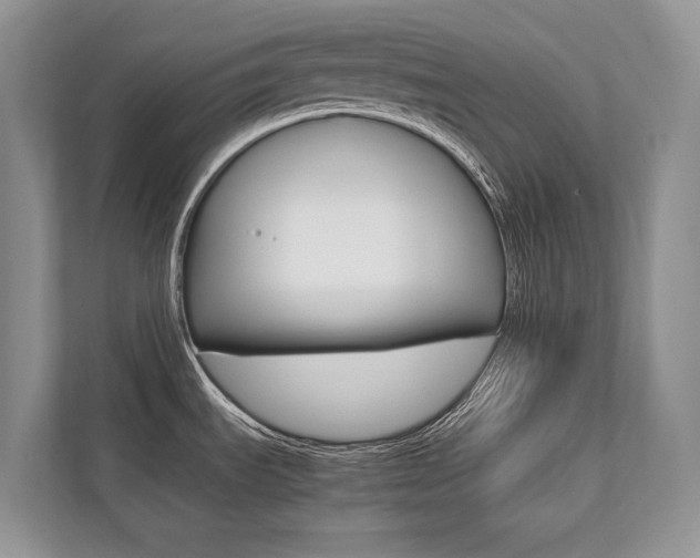 X0000113761535200909230936