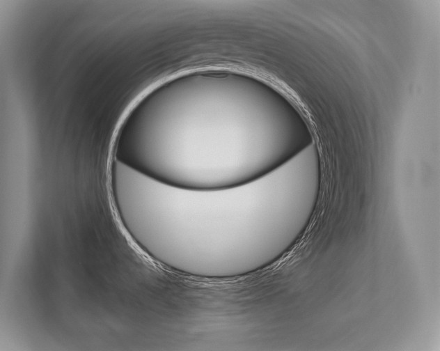 X0000113761536200909230936