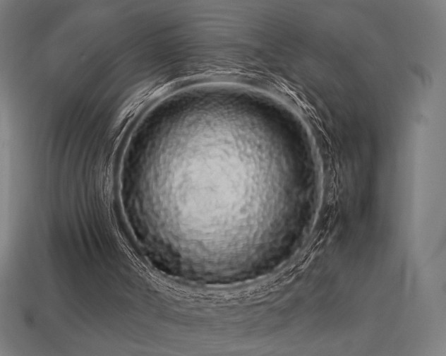 X0000113760002200909231214