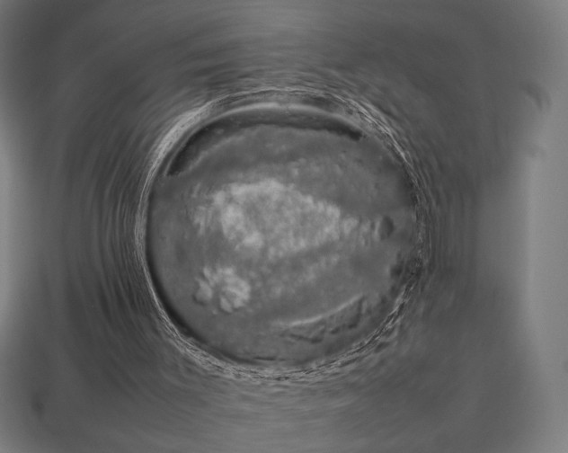 X0000113760003200909231214
