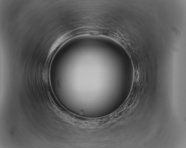 X0000113760004200909231214