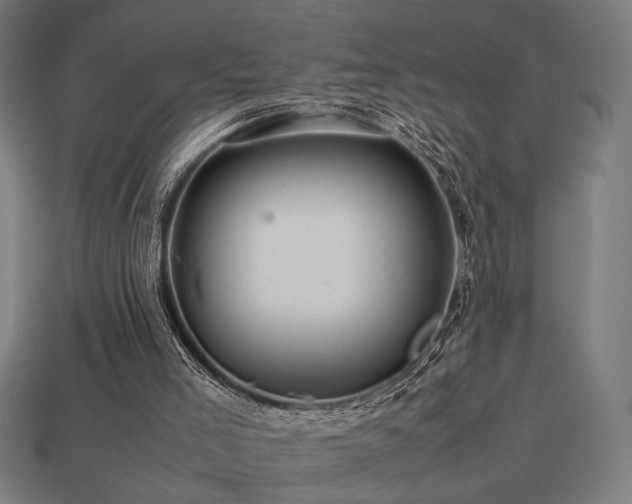 X0000113760005200909231214