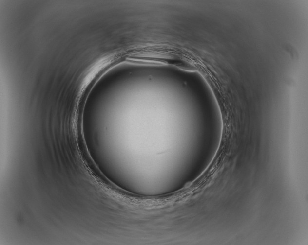 X0000113760006200909231214