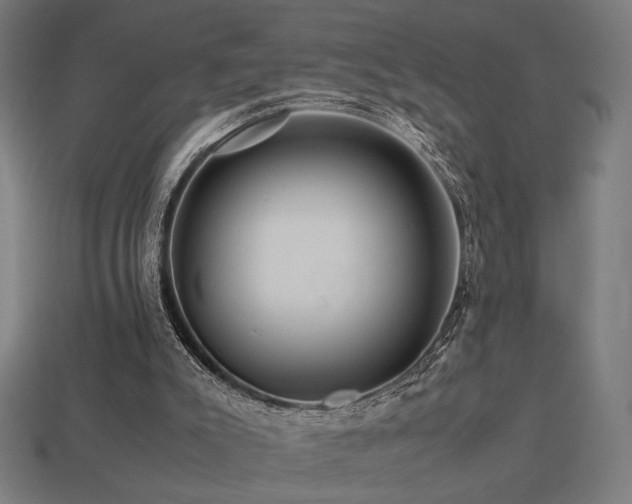 X0000113760007200909231214