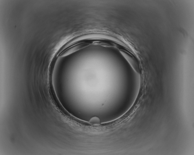 X0000113760008200909231214