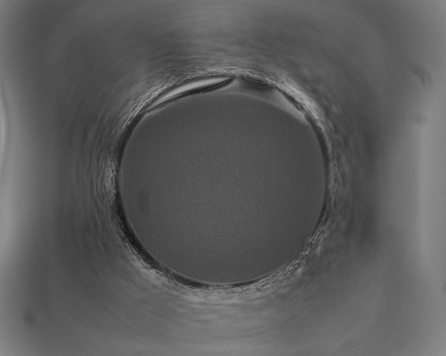 X0000113760009200909231214