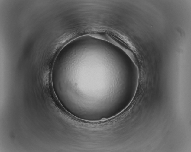 X0000113760010200909231214