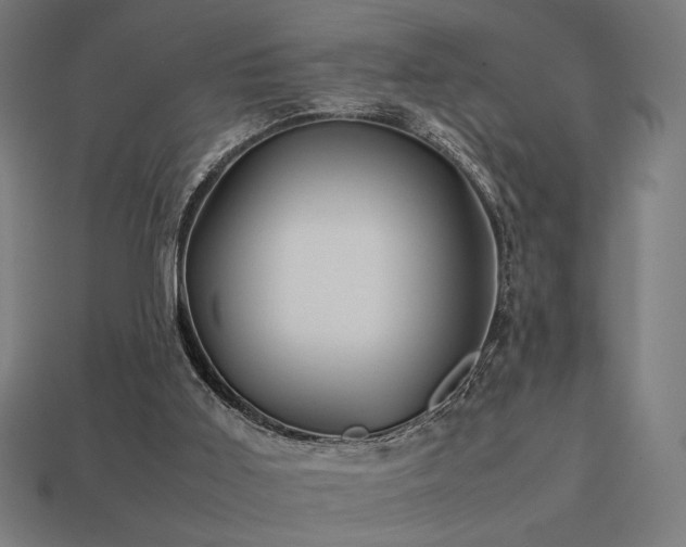X0000113760011200909231214