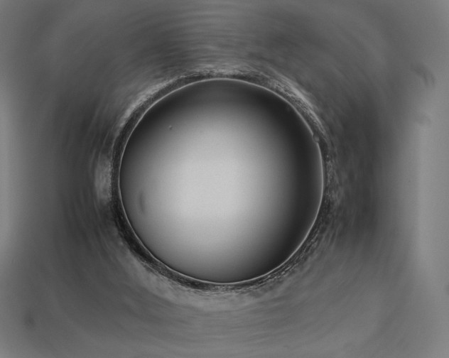 X0000113760012200909231214