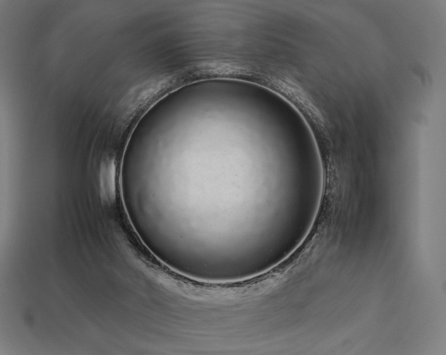X0000113760014200909231214