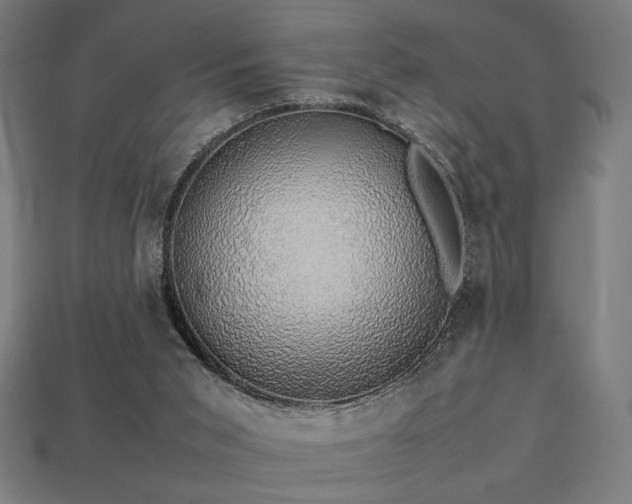 X0000113760015200909231214