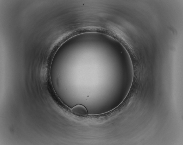 X0000113760016200909231214