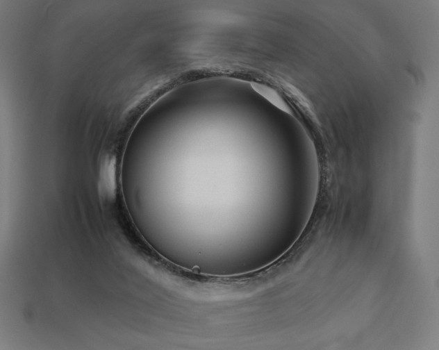 X0000113760020200909231214