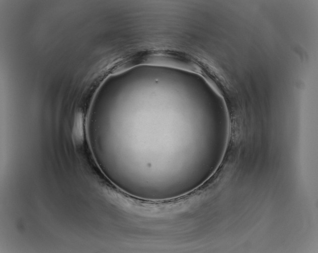 X0000113760022200909231214