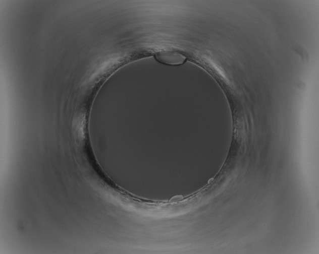 X0000113760023200909231214
