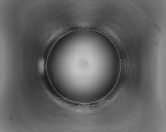 X0000113760024200909231214