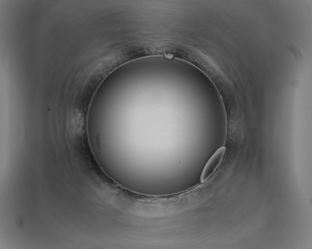 X0000113760025200909231214