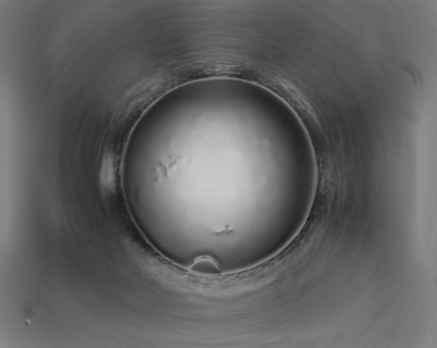 X0000113760026200909231214