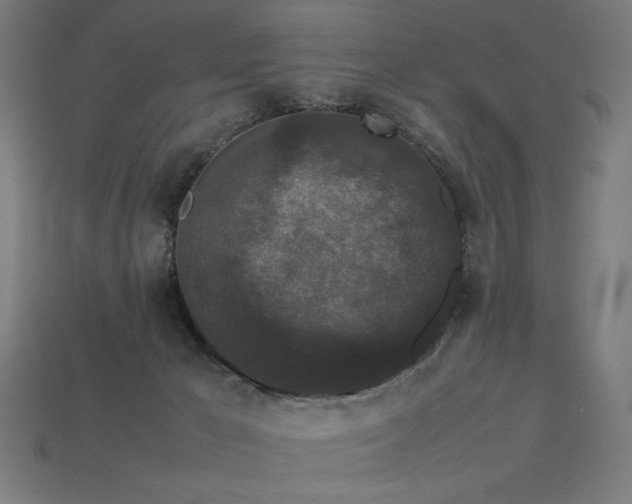 X0000113760029200909231214