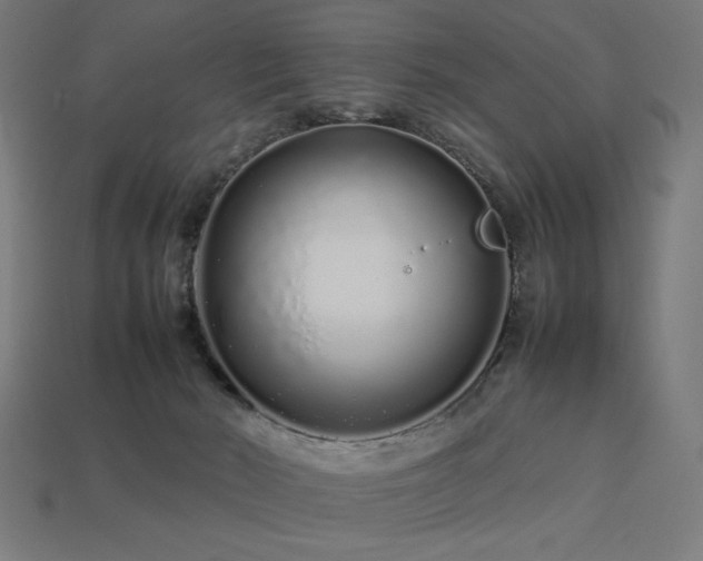X0000113760030200909231214