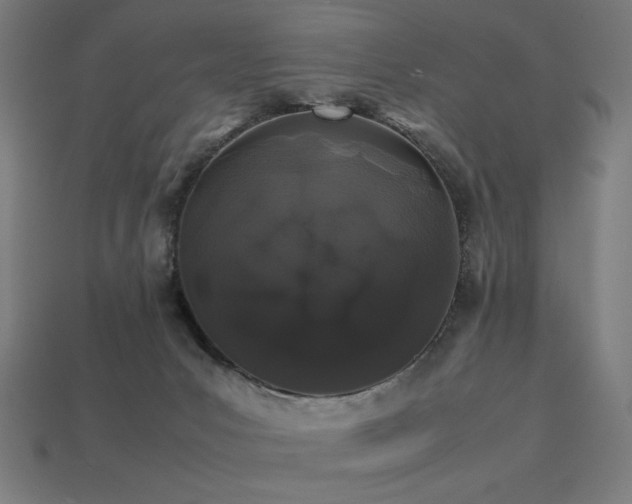 X0000113760031200909231214
