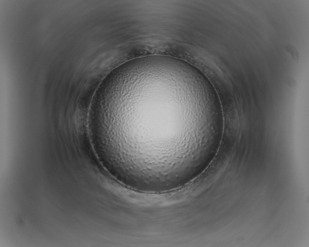 X0000113760034200909231214