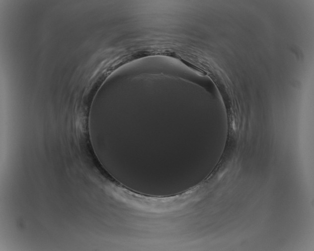 X0000113760035200909231214