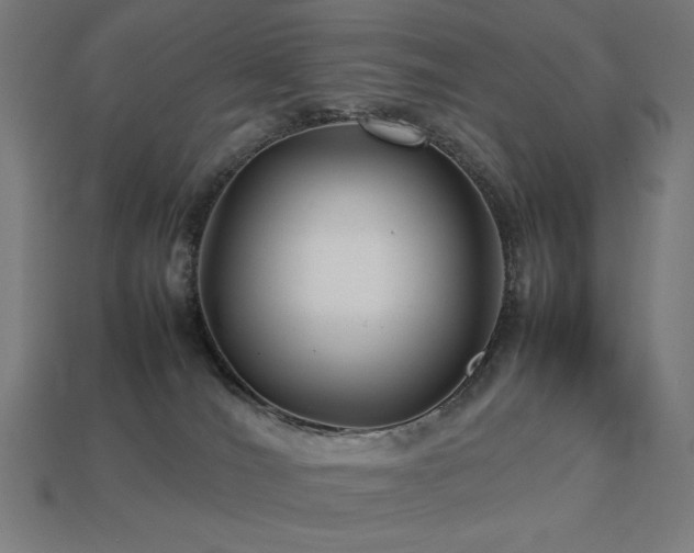 X0000113760036200909231214